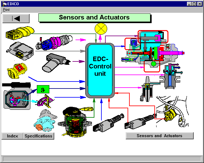 edico4